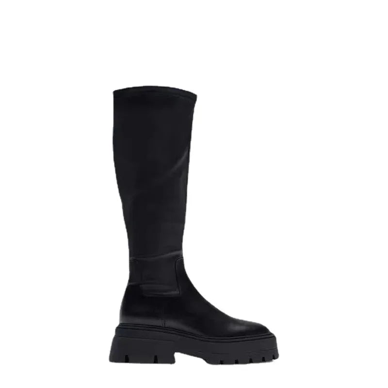 Botas De Mujer Ladies Fashion Knee Boots High Heels Thin Tall Boots Autumn Winter Warm Thick Sole Elastic  Rider Boots